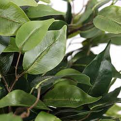 Plante artificielle / arbre artificiel FICUS II 65 cm vert hjh OFFICE