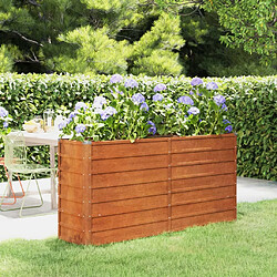 Maison Chic Jardinière,Lit surélevé de jardin - Bac à fleurs - pot de fleur rouillé 160x40x77 cm acier corten -GKD37254