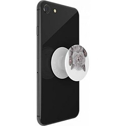 Avis PopSockets Pop Grip pour Smartphones Rétractable et Ultraléger Gén 2 Blanc