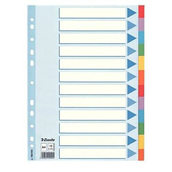 Paravent Esselte Multi-coloured Cardboard Dividers Multicouleur