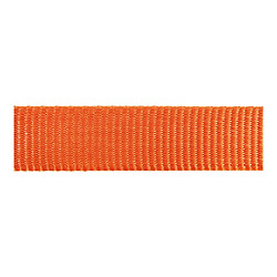 Laisse pour Chien Red Dingo Orange (2,5 x 200 cm)