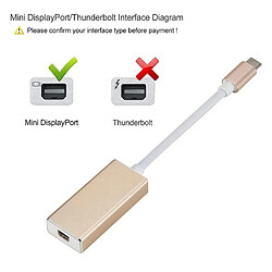 Acheter Wewoo Convertisseur USB-C / Type-C 3.1 Mâle à Mini DP Femelle HDLongueur 12cm Argent