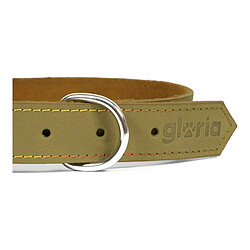 Acheter Collier pour Chien Gloria Oasis Vert (40 x 1,5 cm)