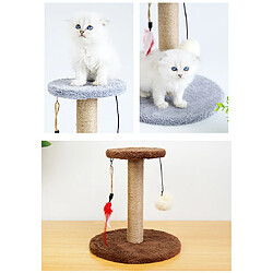 Universal Chats égratignures petits arbres planches cadres chatons chatons jouets grattoirs gâteaux animaux de compagnie jeux jeux sauts jouets | meubles égratignures