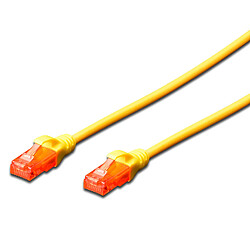 Câble réseau Ewent Im1011 Patch Cable Cat 6 Utp 1M Jaune