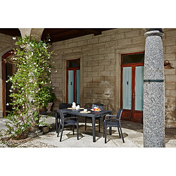 Avis Alter Table de jardin rectangulaire, Made in Italy, 138x78x72 cm, couleur Anthracite