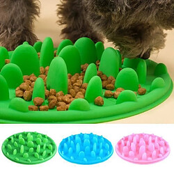 Chien Chat Chiot Gamelle Bol Voyage Antidérapant Anti Glouton Lente Alimentation - vert - Achat - Vente gamelle - écuelle Chien