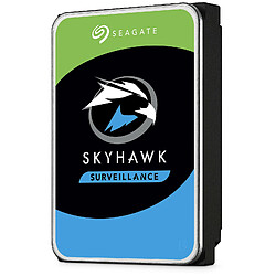 Seagate Technology Seagate SkyHawk AI 10 To (ST10000VE0008)