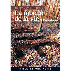 La moelle de la vie : 500 aphorismes - Occasion