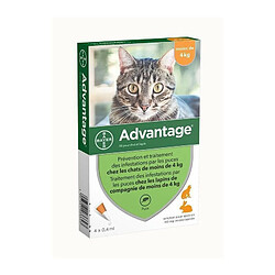 ADVANTAGE 40 - 4 pipettes antiparasitaires - Pour chat et lapin de moins de 4kg