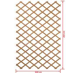 Avis Nature Palissade de jardin 100 x 200 cm Bois l