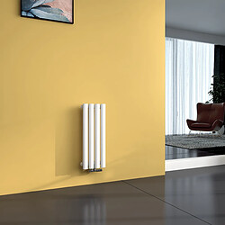 EMKE Radiateur à Eau Chaude, Radiateur Ovale Connexion Centrale, Montage Mural Vertical Design, Blanc 60x24cm 177W Seule Couche