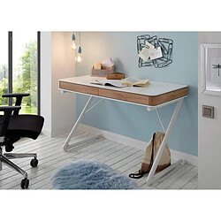 Pegane Bureau d'ordinateur avec 2 tiroirs coloris blanc mat - Longueur 120 x Hauteur 75 x Profondeur 60 cm