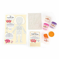 Acheter Graines Creatives Kit Moulage Educatif anatomie 320 x 186 x 90 mm