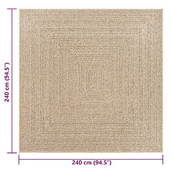 vidaXL Tapis ZIZUR 240x240 cm aspect de jute intérieur et extérieur pas cher