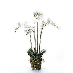 Emerald Phalaenopsis artificiel avec mousse Blanc 90 cm 20.355