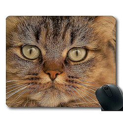 Universal (260x210x3) Tampon de souris, coussin de souris fermé, tapis de souris pour ordinateur CAT055