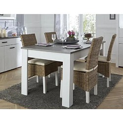 DEMEYERE - table à manger extensible 8 à 10 personnes - style contemporain - marquis - l 230xl 90 cm