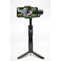 Freevision - Stabilisateur pour Smartphone