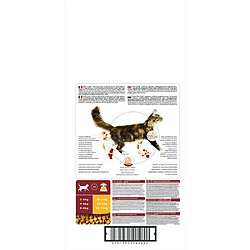 Purina Croquettes PRO PLAN Chat Adulte - Riche en Poulet - 10 KG