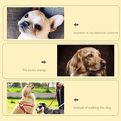 Universal Chien de compagnie étoile nez nez tapis nez odeur couverture d'entraînement tapis odeur bol d'alimentation lente distributeur de nourriture puzzle glissant jouet | jouet pour chien pas cher