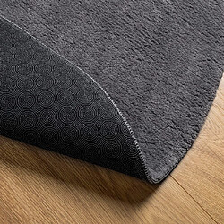 Acheter vidaXL Tapis HUARTE à poils courts doux et lavable anthracite Ø 80 cm