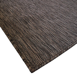 Avis Thedecofactory TERRAIN UNI - Tapis intérieur-extérieur aspect jute marron 195x275