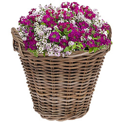 Acheter Pot de fleurs panier en osier rotin panier avec supports pour plantes fleurs 40x36 cm