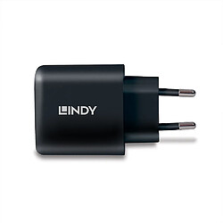 LINDY Chargeur GaN 65W USB Type C LINACC73426 pas cher