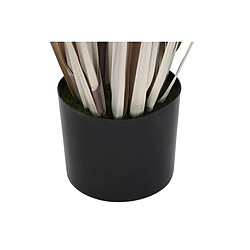 Avis Plante décorative DKD Home Decor Joncs (45 x 45 x 150 cm)