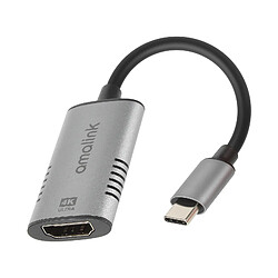 Avizar Adaptateur USB-C vers HDMI femelle Câble Smartphone/Tablette Résolution 4K 15cm