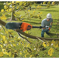 Acheter Black & Decker BLACK+DECKER Coupe-Branches 20 cm 18V 2 Ah GPC1820L20-QW Tendeur De Chaîne Avec Clé