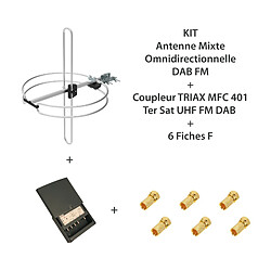 KIT Antenne mixte omnidirectionnelle DAB FM + Coupleur TRIAX MFC 401 Ter Sat UHF FM DAB + 6 Fiches F