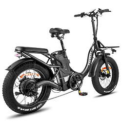 Acheter Vélo électrique FAFREES F20 X-MAX - Moteur 750W Batterie 48V30AH Assisted Autonomie 180KM Frein à Disque Hydraulique - Noir