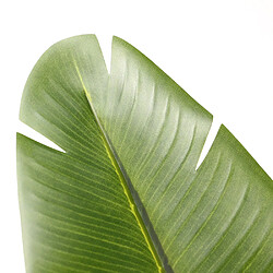 Plante artificielle / arbre artificiel BANANE 170 cm vert hjh OFFICE