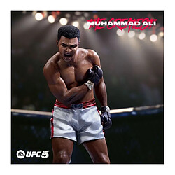 Acheter Electronic Arts EA Sports UFC 5