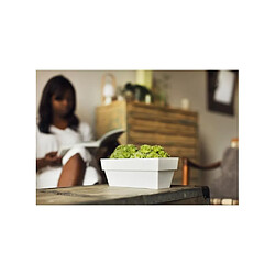 Plastiken Jardiniere 12x30 Cm Collection LIMITED - Blanc