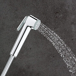 GROHE Douchette 1 jet avec support mural Vitalio Trigger Spray 30 Chromé