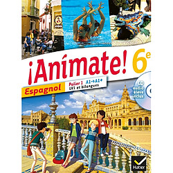 Animate ! 6e, espagnol, palier 1, A1-A1+, LV1 et bilangues - Occasion