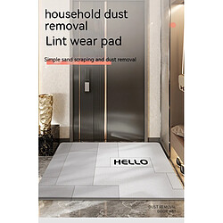 LUUCOZK Tapis de porte d'entrée antidérapants pour entrée intérieure, couleur 4-50x80cm