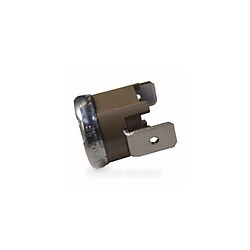 Thermostat 180° pour centrale vapeur delonghi