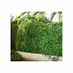 Avis Jet7Garden Gamme haie feuilles de lierre 1,50mx3m