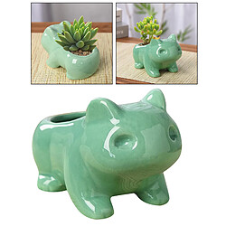 Avis Dessin Animé Mignon Grenouille En Forme De Céramique Succulente Cactus Fleur Plante Pot Decor M