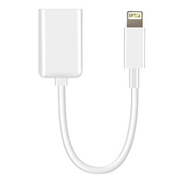 Avizar Adaptateur OTG USB vers Lightning Compact Portable 10cm Blanc