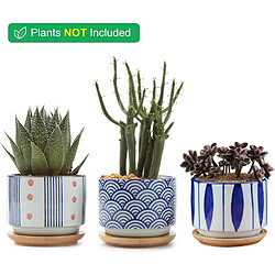 Acheter BESTA Pots de Plantes Succulentes avec Plateau en Bambou - Lot de 3 Pots de Plantation Cylindriques en Céramique Japonaise avec Trous de Drainage - Pots pour Plantes Succulentes, Petits Cactus, Herbes