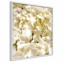 Paris Prix Affiche Murale Encadrée Soothing Flowers 50 x 50 cm Blanc