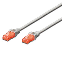 Câble réseau Ewent Im1004 Patch Cable Cat 6 Utp 0,5M Blanc