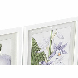 Avis Cadre DKD Home Decor Fleurs (40 x 2 x 54 cm) (6 Unités)