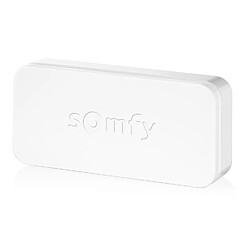 Somfy 2401487