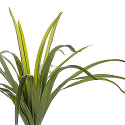 Beliani Plante artificielle DRACAENA ANITA 147 cm pas cher